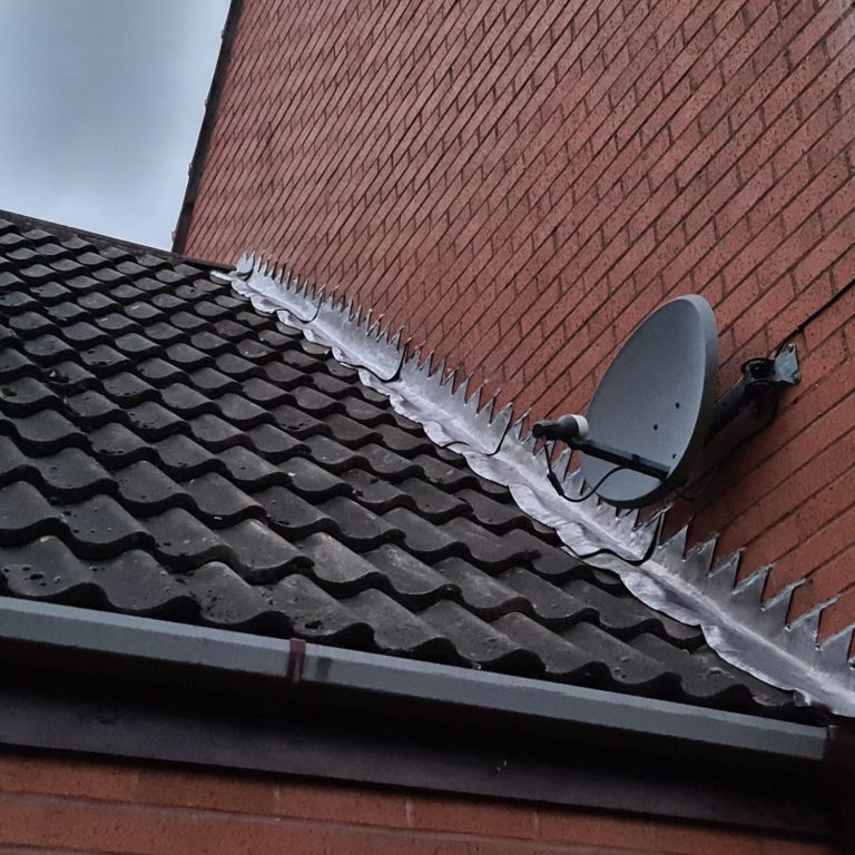 g.taylor&Sons roofing specialist finished tile roof